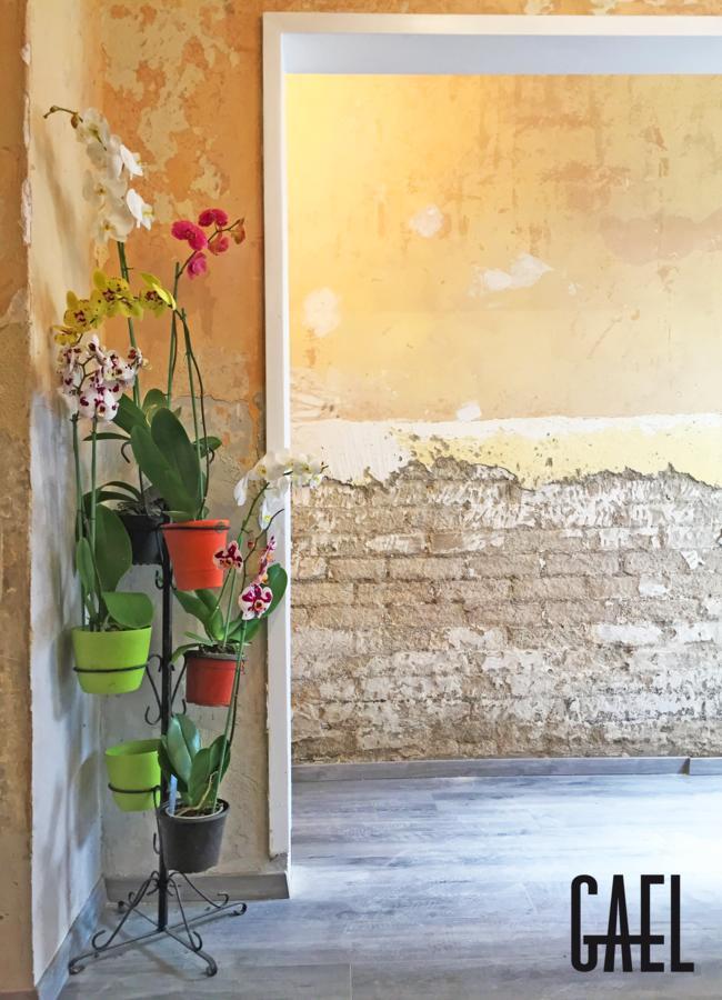 Gael Condesa Hostel Mexikóváros Kültér fotó