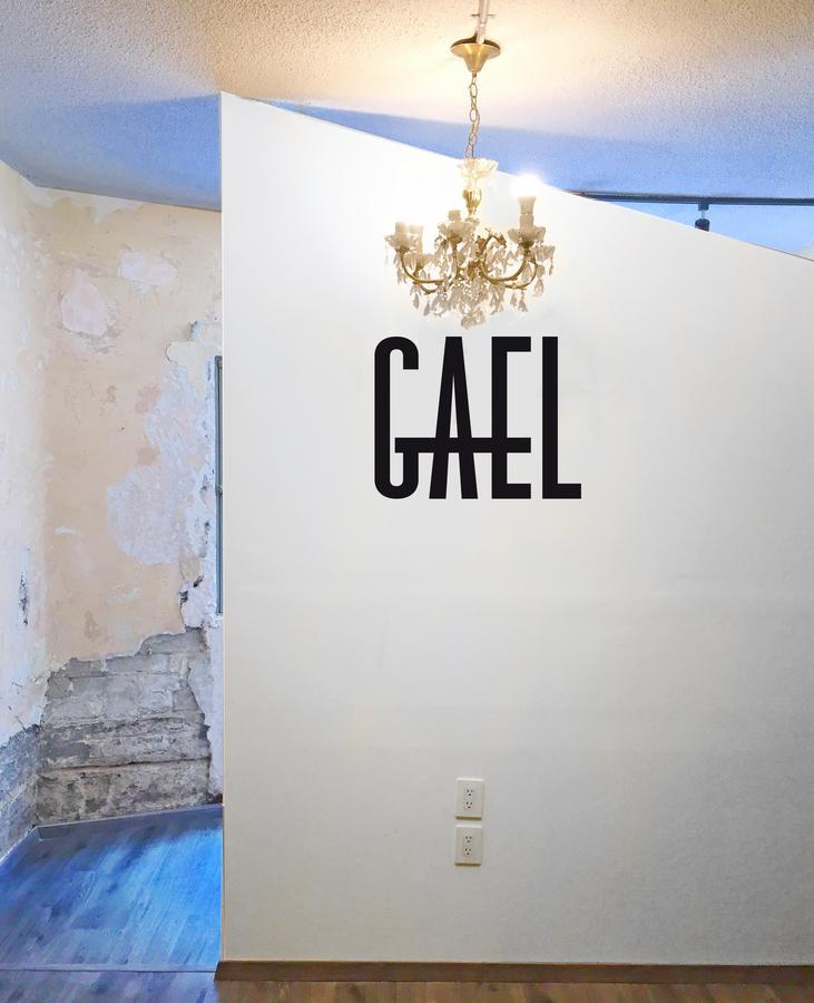 Gael Condesa Hostel Mexikóváros Kültér fotó